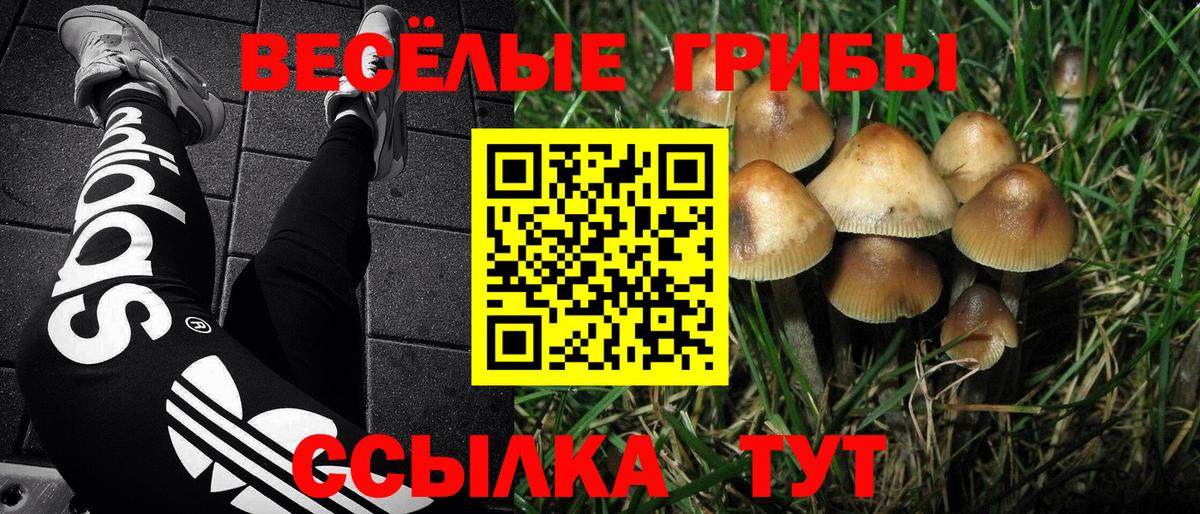 Псилоцибиновые грибы ЛСД  Вход с VPN  Урус-Мартан 